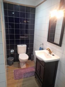 een badkamer met een toilet en een wastafel bij Winter Wonderland Villa in Tamaimo