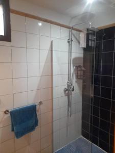 La salle de bains est pourvue d'une douche et d'une serviette bleue. dans l'établissement Winter Wonderland Villa, à Tamaimo