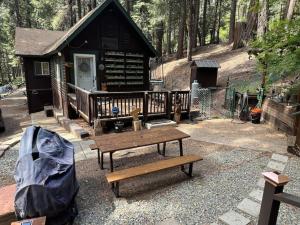 une petite cabine avec une table de pique-nique et un banc dans l'établissement Cabin in the Trees - Hot Tub, à Pollock Pines