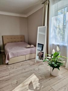 - une chambre avec un lit, un miroir et une plante dans l'établissement Võru apartment 4, free parking, à Tartu