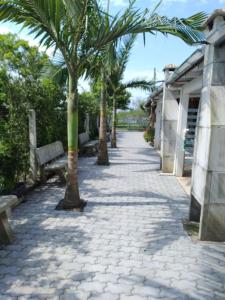 a sidewalk with palm trees and benches on it at QUARTO COM COZINHA E CHURASQUEIRA INDIVIDUAL. in Passo de Torres