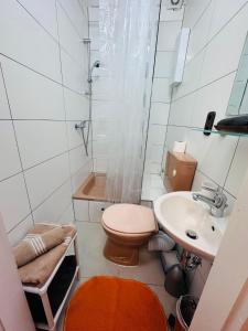 W łazience znajduje się toaleta, umywalka i prysznic. w obiekcie Gästezimmer Siminciuc w Akwizgranie