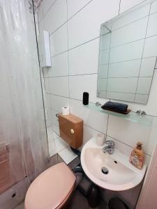 a bathroom with a pink toilet and a sink at Gästezimmer Siminciuc in Aachen