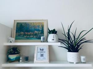 a shelf with plants and a picture on it at Cozy home in the city center- contactless self check in in Tallinn