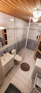 La salle de bains est pourvue d'une douche, de toilettes et d'un lavabo. dans l'établissement Upea saunallinen asunto järvinäkymällä., à Jyväskylä