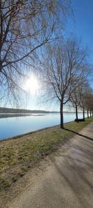 a tree lined road next to a body of water at Upea saunallinen asunto järvinäkymällä. in Jyväskylä