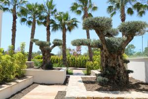 eine Reihe von Palmen in einem Garten in der Unterkunft Fantastic apartment in Las Colinas Golf (4 people) in Orihuela