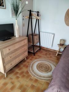 TV a/nebo společenská místnost v ubytování Charmant 2 pièces avec terrasse en bord de mer + 16 fotografií