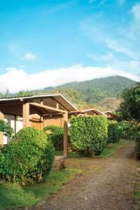 a house with bushes in front of it at Slow Travel Lodge in Upala