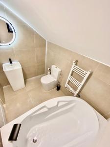La salle de bains est pourvue de toilettes blanches et d'un lavabo. dans l'établissement Refugiul Panoramic, à Muntele Rece