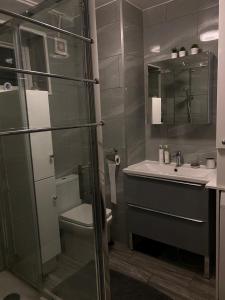 a bathroom with a shower and a toilet and a sink at A modern flat in Southeast London in London