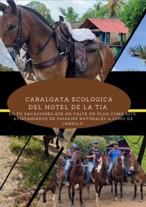 un collage de fotos de gente montando caballos en El Hotel De La Tía, en San Bernardo del Viento