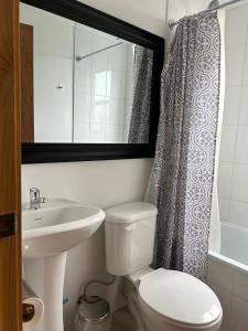 a bathroom with a toilet and a sink and a mirror at Hostal Esesur in Puerto Montt