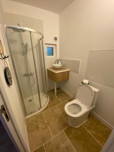 a bathroom with a shower and a toilet and a sink at Fenêtre sur cour du Docteur Privey in Tournus