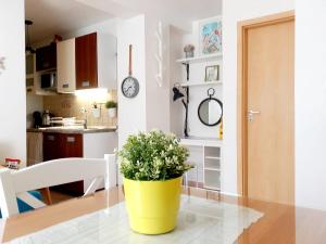 Kuchyň nebo kuchyňský kout v ubytování Apartment Megi in Supetar historical core