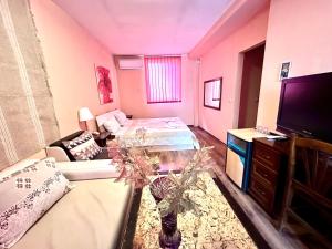 TV a/nebo společenská místnost v ubytování Family Hotel Carpe Diem