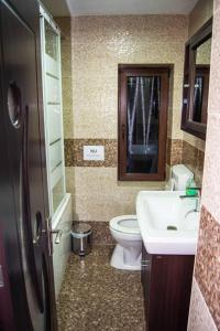 La salle de bains est pourvue de toilettes et d'un lavabo. dans l'établissement Casa de vacanță Edya, à Petroşani