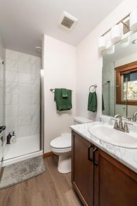 een badkamer met een wastafel, een toilet en een douche bij The Evergreen Cabin in Valemount