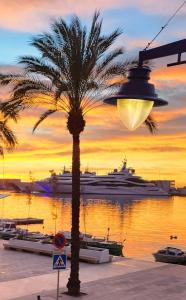 un palmier et un bateau de croisière au coucher du soleil dans l'établissement Port 1, à Tarragone