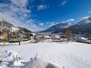 Alpenchalet zurHinterochsenweide SKI IN & SKI OUT durante el invierno