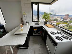 Kuchyň nebo kuchyňský kout v ubytování Stanford Suites Hotel