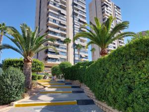 un chemin avec des palmiers et un bâtiment dans l'établissement Las Marinas 8o con Vistas al Mar y Piscina by Vero, à Benidorm