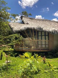 Cabaña pequeña con techo de paja en un campo en Bosque Guardian Lodge en Tarapoto