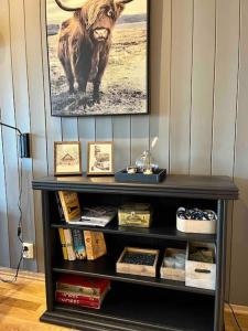 een boekenplank met een foto van een stier bij Skarsnuten Panorama 46 in Grøndalen