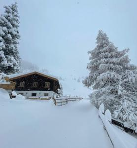 Peer Alm pozimi