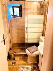 a small bathroom with a toilet and a shower at Methydrion Country House in Vitina