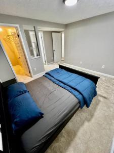 um quarto com uma cama grande e almofadas azuis em Cozy 2BR in Alexandria, VA em Alexandria