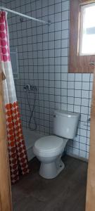 a bathroom with a toilet and a shower curtain at Cabañas La Cascada in Chaitén