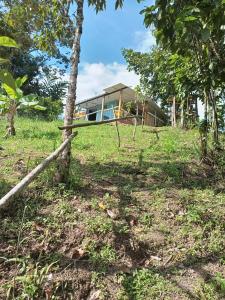 a house sitting on top of a lush green field at Cabaña en el Campo in La Vega