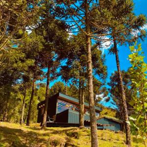 une maison dans les bois avec des arbres dans l'établissement Pousada Flocos de Neve, à Urubici