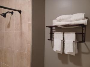 a bathroom with white towels on a towel rack at Natchez Manor Bed & Breakfast in Natchez +80 photos