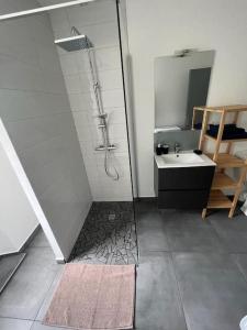 y baño con ducha y lavamanos. en Appartement en cœur de ville, en Mauléon-Licharre