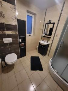 a bathroom with a toilet and a sink and a mirror at Domki Nad Jeziorem 781-281-434 in Polańczyk +36 photos