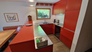A kitchen or kitchenette at Aparthotel Chesa Bellaval