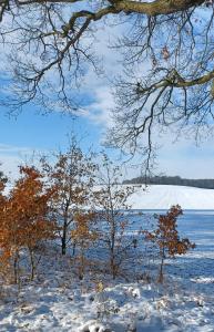a snowy field with trees and a snow covered lake at Waldblick in Cavertitz