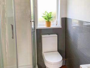 a bathroom with a toilet and a window and a plant at Rosemary Cottage-uk42032 in Highampton