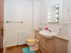 W łazience znajduje się toaleta, umywalka i lustro. w obiekcie Holm Dell Apartment w mieście Inshes