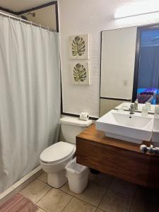 a bathroom with a white toilet and a sink at Apartment Tendenza Centro in Playa del Carmen