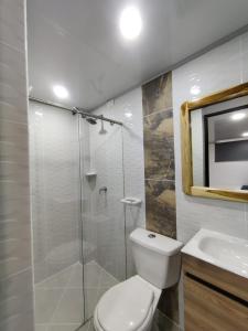 麥德林的住宿－Apartahotel Sevilla，带淋浴、卫生间和盥洗盆的浴室