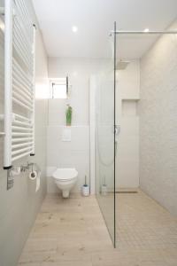a bathroom with a toilet and a glass shower at Apartments by the sea Zubovici, Pag - 4141 in Zubovići