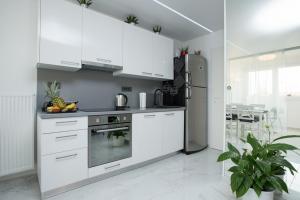 O bucătărie sau chicinetă la Apartments with WiFi Velika Gorica, Prigorje - 22011
