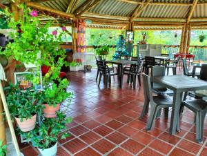 ein Restaurant mit Tischen, Stühlen und Topfpflanzen in der Unterkunft villa roman in Montenegro