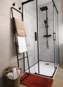 La salle de bains est pourvue d'une douche avec une porte en verre. dans l'établissement Trotamundos, apartamento nuevo en el centro, à Cordoue