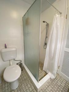 耐莉湾COST EFFECTIVE ISLAND ESCAPE! Studio Unit, Nelly Bay的带马桶和玻璃淋浴间的浴室