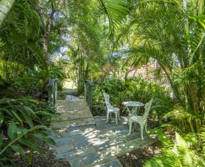 耐莉湾COST EFFECTIVE ISLAND ESCAPE! Studio Unit, Nelly Bay的木人行道上两把椅子和一张桌子,有树木