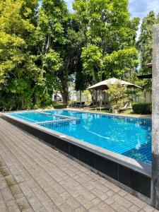 uma grande piscina azul com árvores ao fundo em Treeside Guest House Resort em Ban Thung Chao